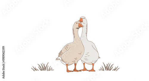 Two ducks standing side by side.