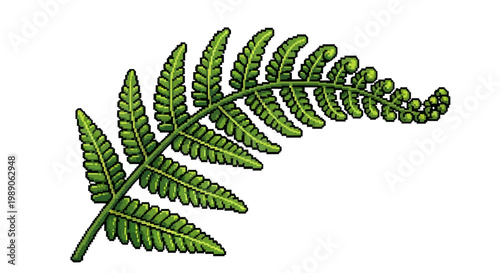 Detailed Illustration of a Vibrant Green Fern Frond.