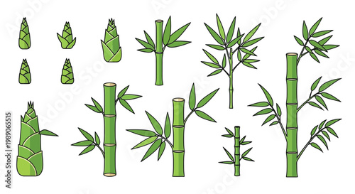 A collection of cartoon bamboo stalks shoots and leaves