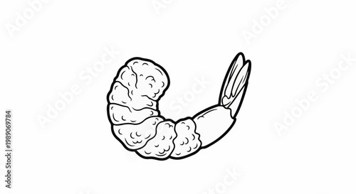 A black and white line drawing of a shrimp, isolated on a white background