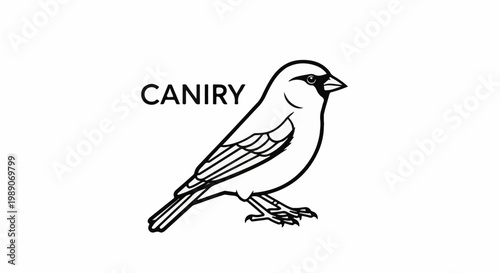 A black and white line drawing of a small bird with the word CANIRY above it