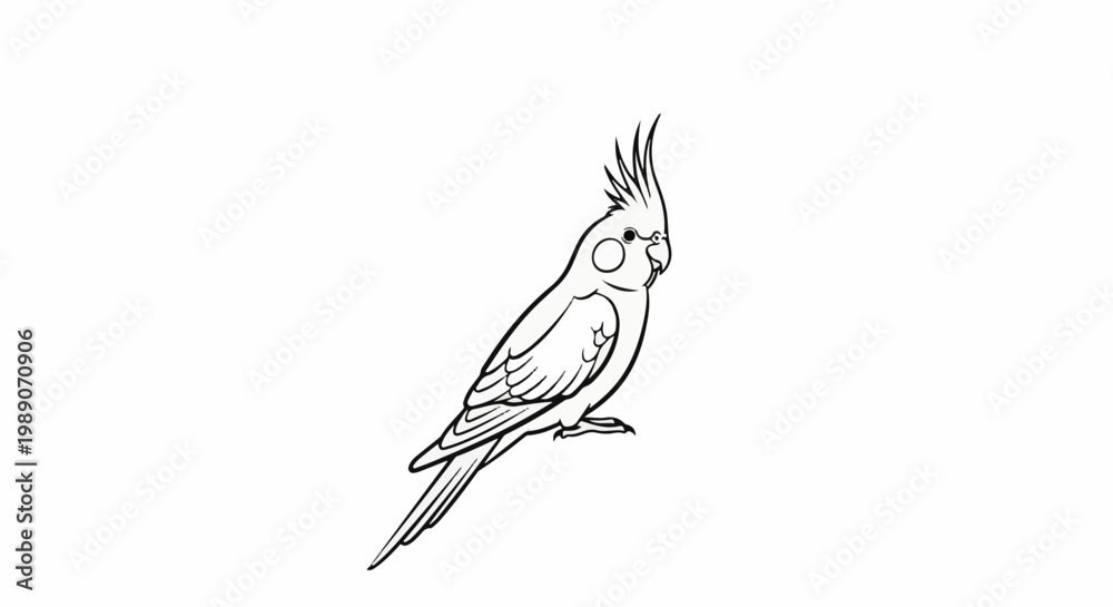 Obraz premium A black and white line drawing of a cockatiel perched