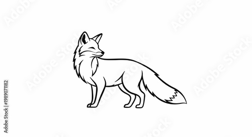 A black and white line drawing of a fox with its tail curled