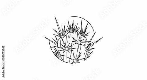 A close-up sketch of a spiky cactus with a partial circle outline