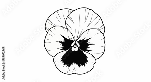 A detailed black and white illustration of a single pansy flower with bold outlines