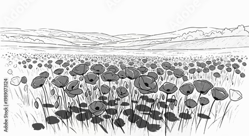 A field of poppies stretches to rolling hills under a vast sky