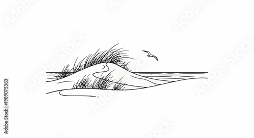 A minimalist line drawing of a coastal scene with sand dunes and a seagull