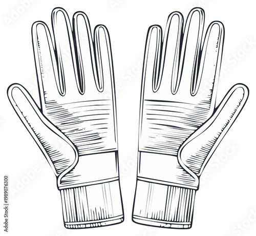 Detailed Hand Drawn Illustration of a Pair of Gloves Protective Handwear Gear for Cold Weather or Sports