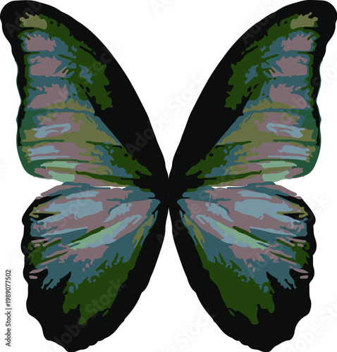 Colorful green butterfly with purple spots