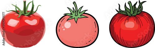 Hand drawn tomato vegetable set with realistic glossy style flat design and detailed sketch versions fresh organic illustration isolated