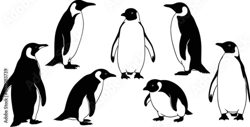 Obraz na płótnie Penguin silhouette collection, Antarctic wildlife bird icons, emperor penguin vector set, black and white animals, flightless birds, isolated nature illustrations