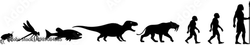 Black vector silhouettes illustrating the evolution of life from primitive insects and fish to dinosaurs mammals and early human ancestors,