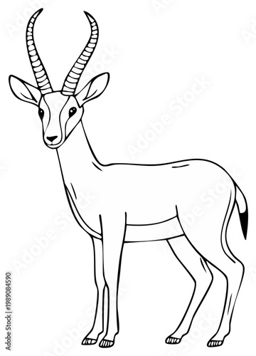Hand drawn outline illustration of a graceful gazelle with long horns, a coloring book page