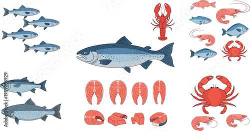 Seafood and fish collection set with salmon shrimp crab and lobster marine food vector illustration isolated design elements