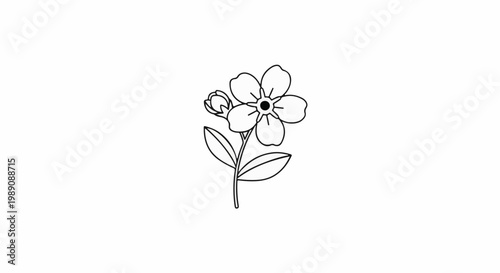 A simple line drawing of a forget-me-not flower with a bud