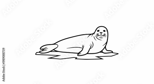 A simplified line art of a seal resting on an ice floe