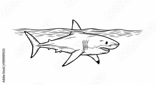 A striking black and white drawing of a great white shark swimming just below the water's surface