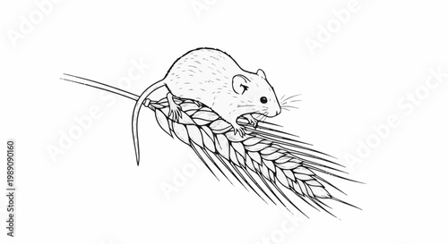 A small mouse balances on a stalk of ripe grain