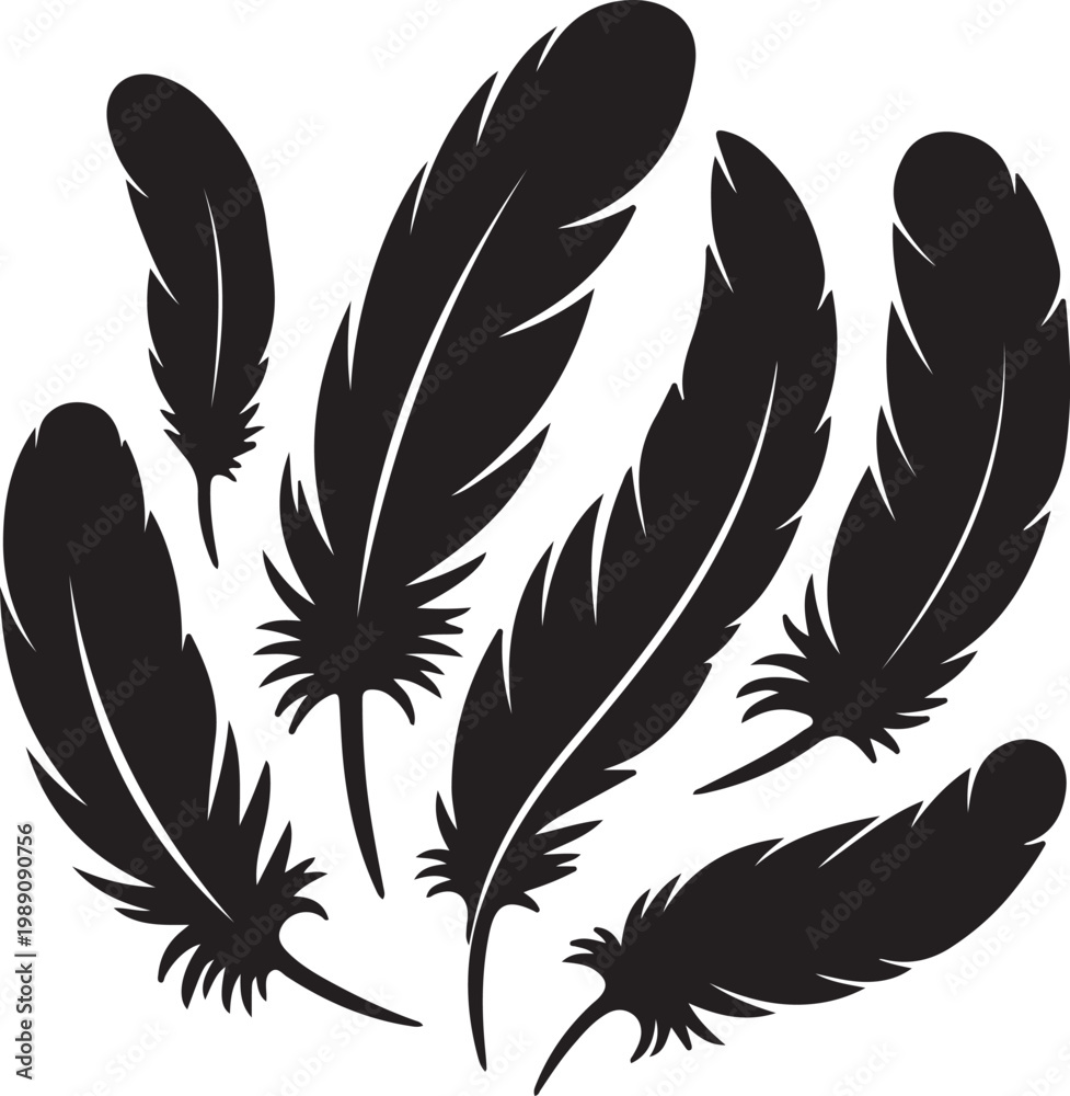 Obraz premium Collection of Black Feather Silhouettes Vector Illustration – Abstract Bird Feather Set Black and White Clipart