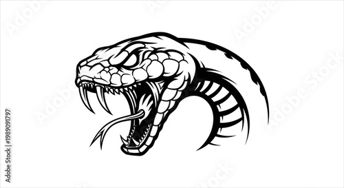 Fierce Viper Snake Head with Open Mouth and Forked Tongue