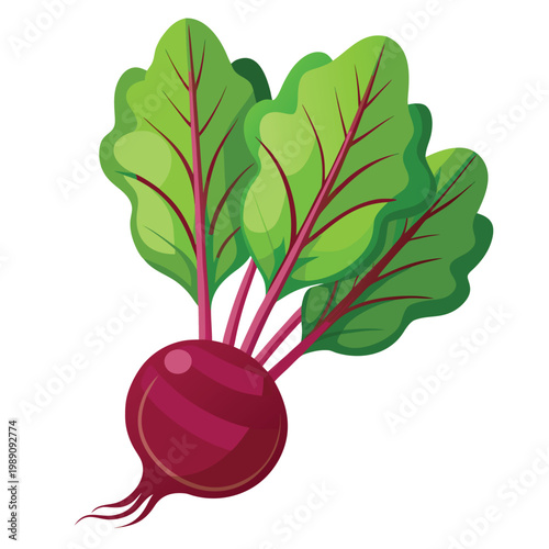 carrot tops vector isolated