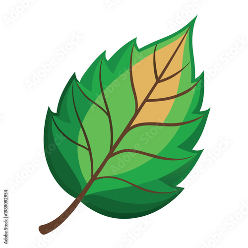 Bitter Leaf Green Vegetable Vector Illustration