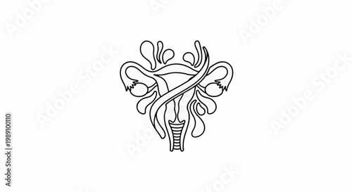 Abstract line drawing of female reproductive system with flowing shapes