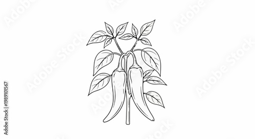 Black and white line art of two elongated chili peppers with leaves