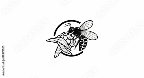 Black and white illustration of a wasp collecting pollen on a flower