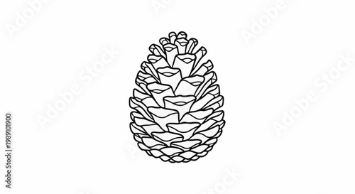 Black and white line drawing of a pine cone