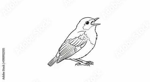 Black and white line drawing of a small bird with its beak open, singing