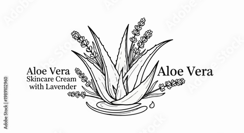 Black and white line art logo featuring aloe vera and lavender, with product text