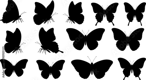 Black butterfly silhouette set with various species shapes and wings positions isolated on white background for nature design and decoration.