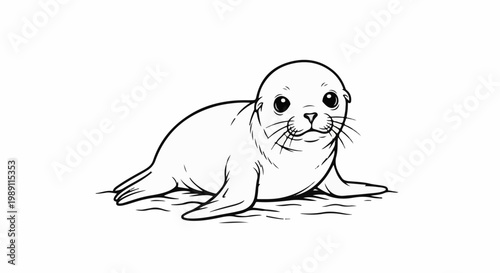 Cute baby seal with big eyes, on white background, line art