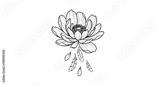 Delicate illustration of a blooming flower with falling petals and feathers