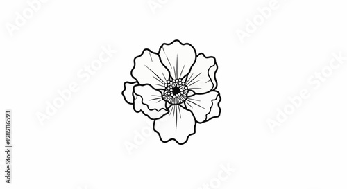 Delicate line drawing of a single bloom with layered petals and detailed center
