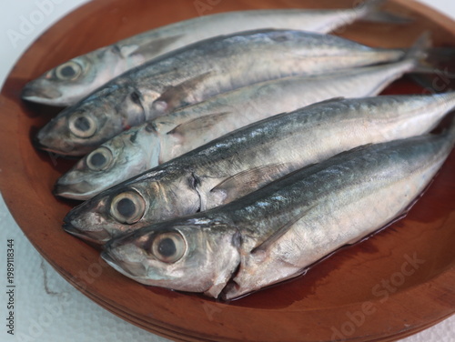 Obraz na plátně Fresh round scad fish or mackerel scad prepared for cooking or grill