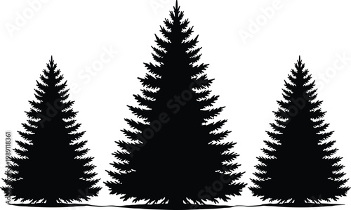 Pine tree silhouette set, evergreen conifer trees collection, natural forest elements isolated on white background, detailed nature illustration design