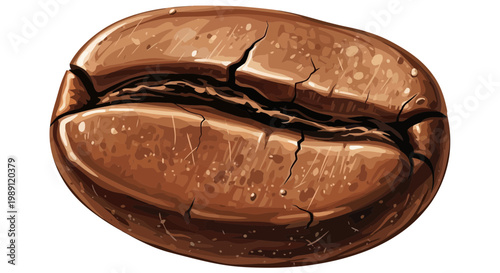Close-up of a single roasted coffee bean with a prominent crack, isolated on white background.