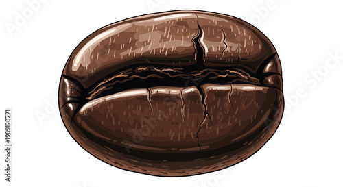 Detailed coffee bean illustration with cracks and texture