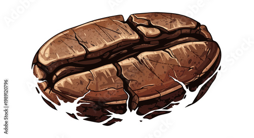 Detailed illustration of a single roasted coffee bean with a cracked surface