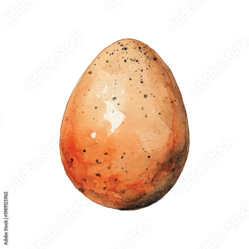 Brown speckled egg on white background.