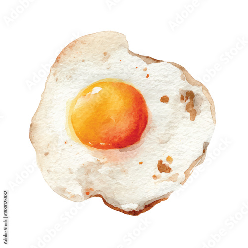 Fried egg with runny yolk center.