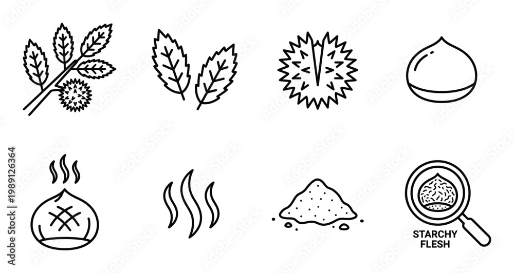 Fototapeta premium Chestnut collection icons set line art healthy food objects ingredient food preparation symbols isolated.