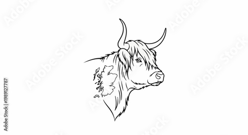 Line art of a Highland cow with a map of Scotland on its side