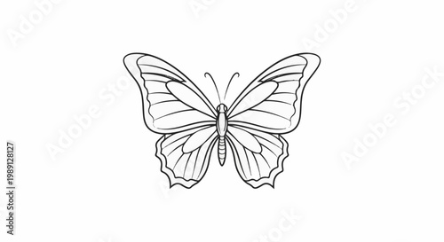 Line art drawing of a butterfly with its wings spread wide