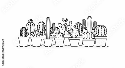 Line drawing of a variety of potted cacti and succulents on a shelf