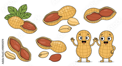 Detailed illustrations of peanuts in shells, cracked open with nuts, and cheerful peanut characters waving happily on a plain white background.