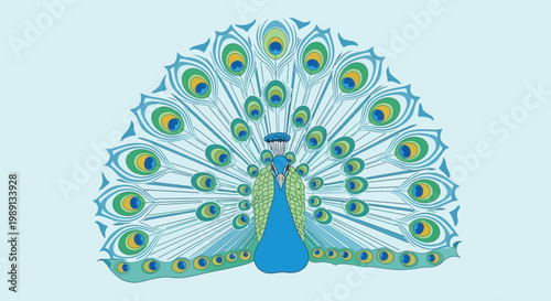 Peacock Displaying Vibrant Colorful Plumage Feathers.