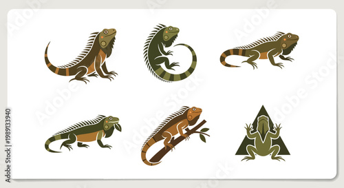 Collection of lizard illustrations side view.